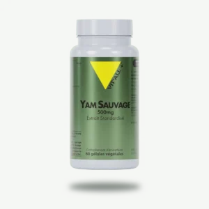 YAM SAUVAGE 500mg Extrait Standardisé