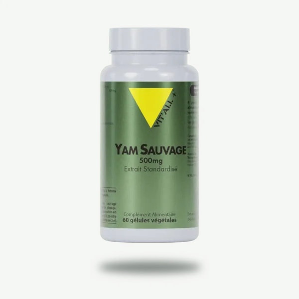 YAM SAUVAGE 500mg Extrait Standardisé
