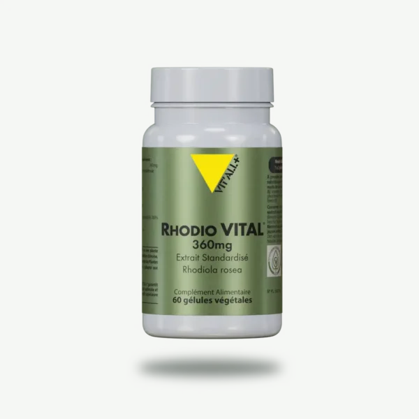 RHODIO VITAL® (Rhodiola) 360mg Extrait Standardisé